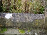 image of grave number 899190
